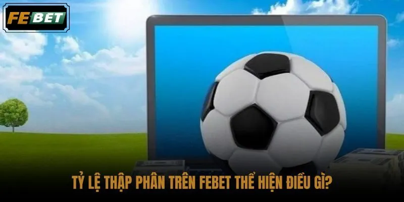 ty-le-thap-phan-tren-febet-the-hien-dieu-gi